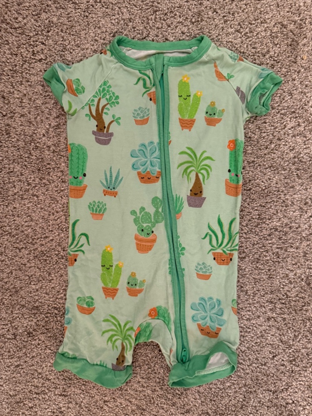 Little Sleepies Succulent Love 6-12 month Shorty